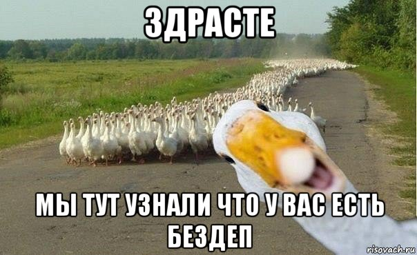 1617196085437.png