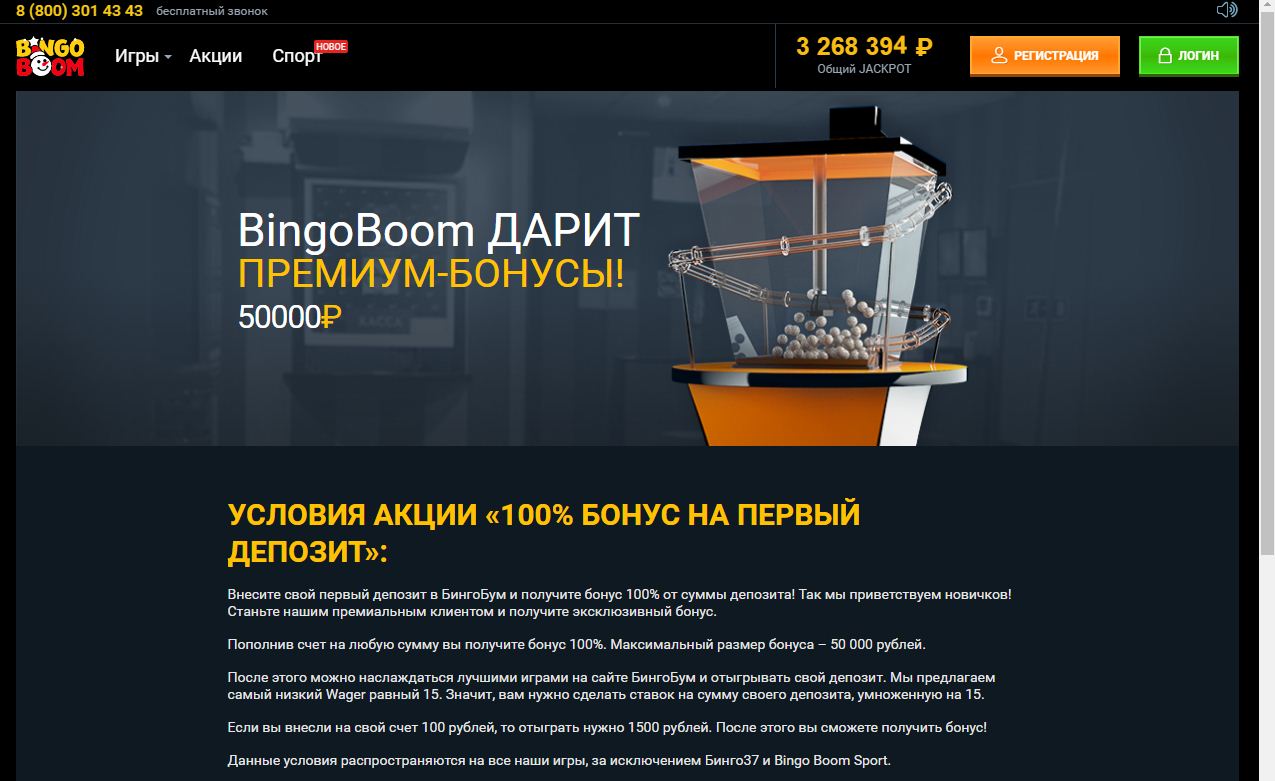 бинго2.jpg