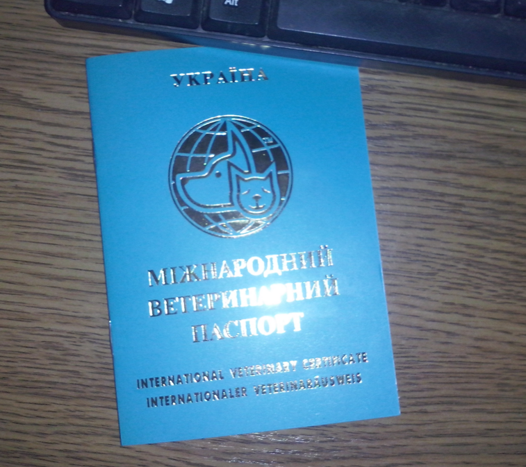 дружа 1.png