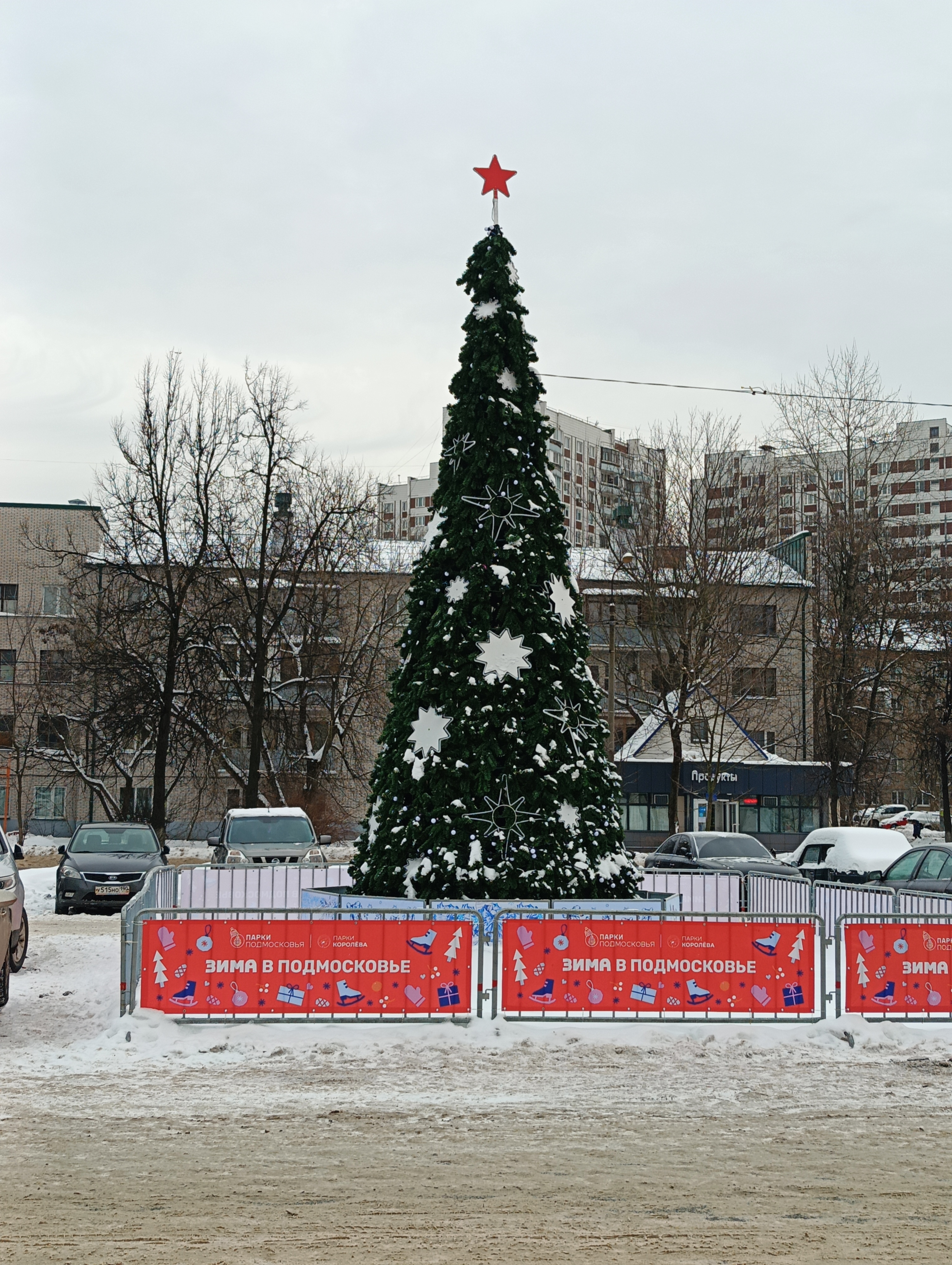 IMG20241219123014.jpg