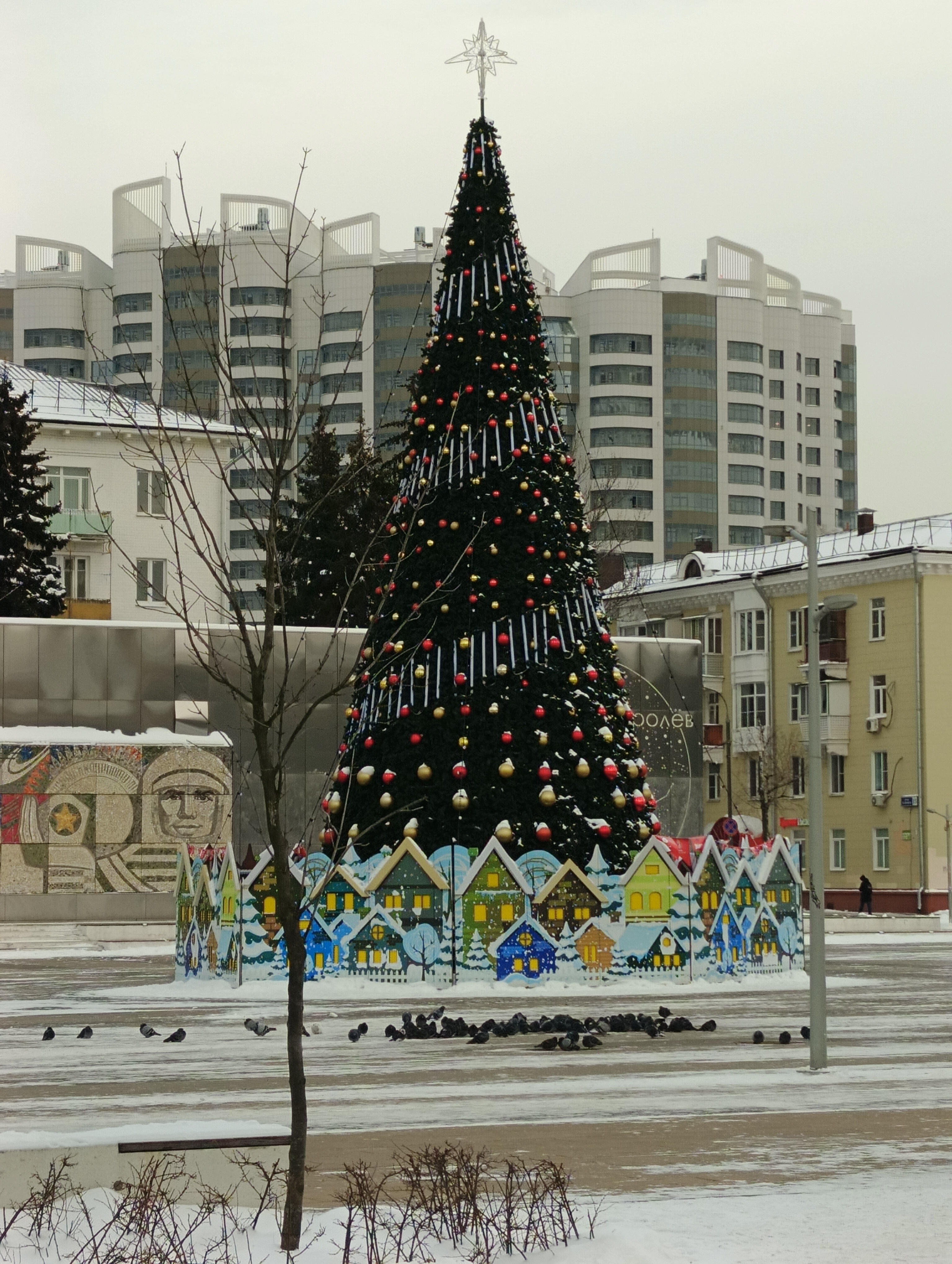 IMG20241219131349.jpg