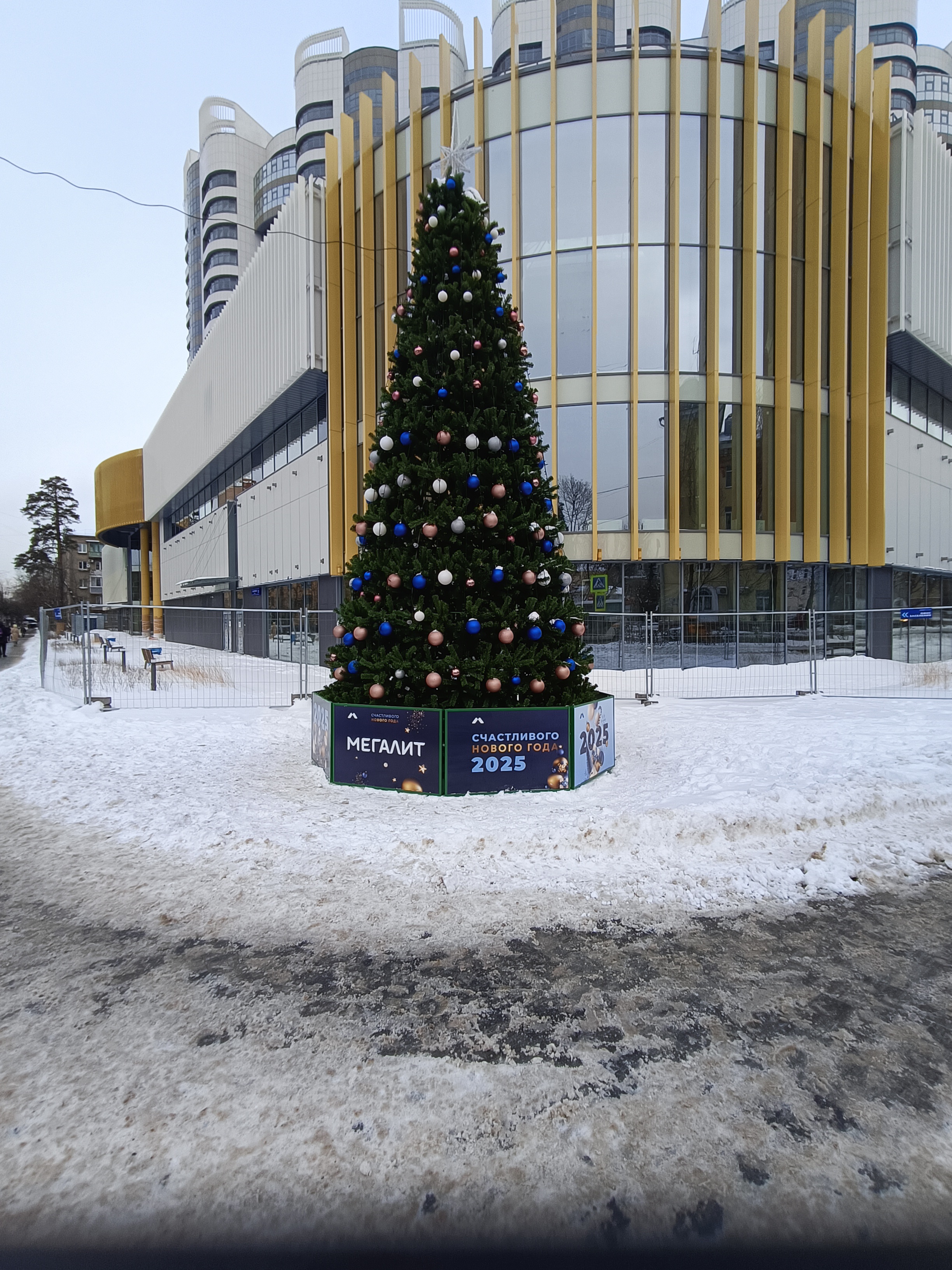 IMG20241219131931.jpg