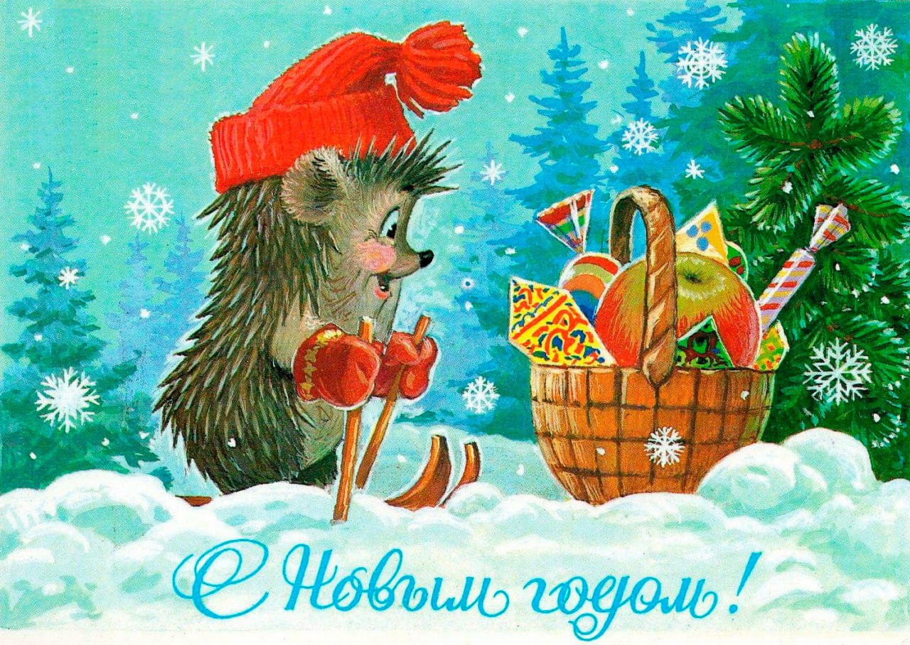 IMG_20231231_143535_815.jpg