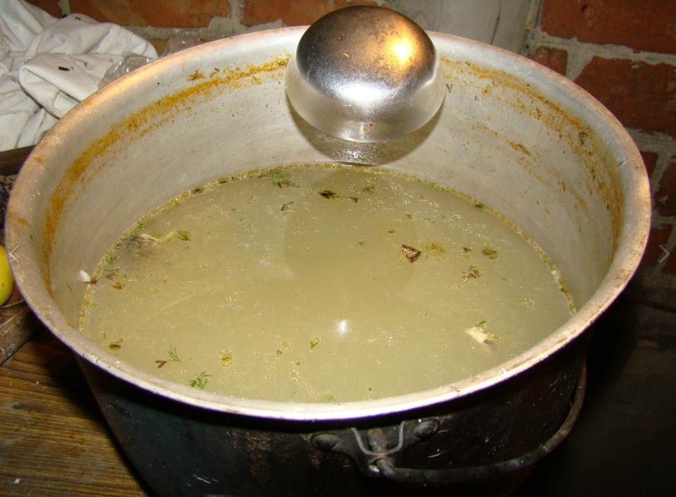 карп 4.png