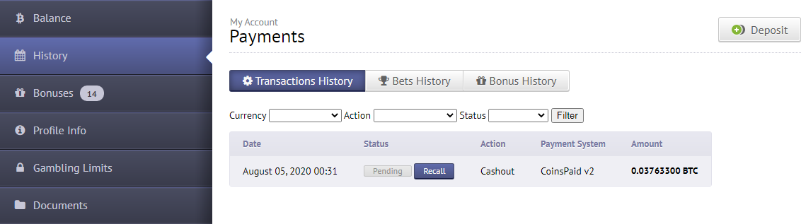 OSHI CASINO.png