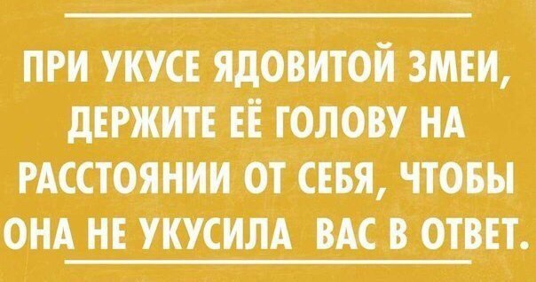 QZlhi9sjmu8.jpg