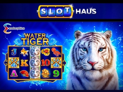 Screenshot_20211226_111055.jpg