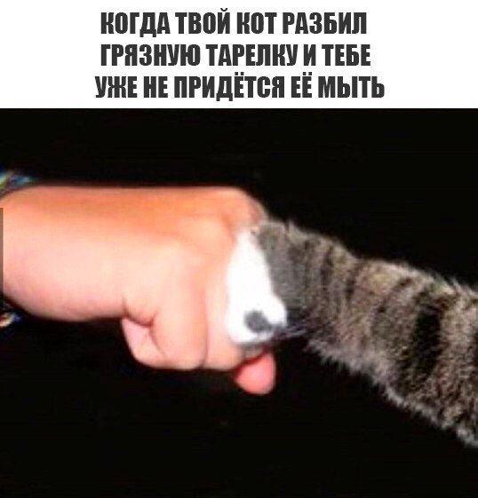 Снимок.JPG