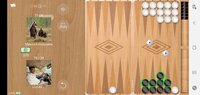 Screenshot_20210116-124729_Backgammon.jpg
