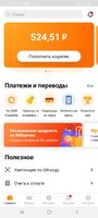 Screenshot_20210326-155656_QIWI.jpg