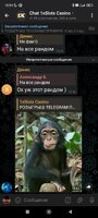 Screenshot_2023-11-15-15-51-51-463_org.telegram.messenger.jpg