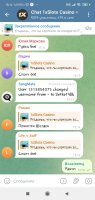 Screenshot_2024-05-15-13-14-09-845_org.telegram.messenger.jpg