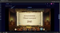 x204.jpg