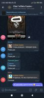 Screenshot_2024-09-24-02-50-06-534_org.telegram.messenger.jpg