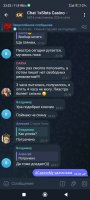 Screenshot_2024-12-09-23-33-05-158_org.telegram.messenger.jpg