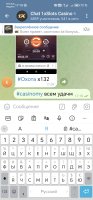 Screenshot_20241213_171008.jpg
