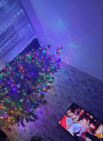 изображение_2024-12-18_211822974.png