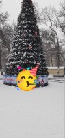 IMG_20241219_101248.jpg
