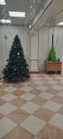 IMG_20241219_170259.jpg