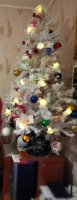 IMG_20241219_183538.jpg