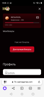 Screenshot_20241223-190527.png