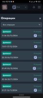 Screenshot_2024-12-29-19-51-53-421_com.yandex.browser.jpg