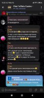 Screenshot_2024-12-30-15-33-03-710_org.telegram.messenger.jpg