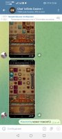 Screenshot_20250209_225604_org.telegram.messenger.jpg