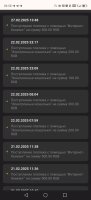 Screenshot_20250228_035806_com_android_chrome_ChromeTabbedActivity.jpg