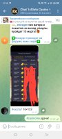 Screenshot_20250310-213802.jpg