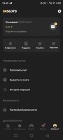 Screenshot_20250530-134351.jpg