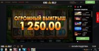 х100.JPG